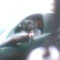 A dog lookingout as us from thepassenger side window.