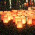 lanterns floating near the hypocenter in Hiroshima.