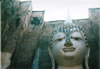 This buddha was rocking. It is in asort of enclousure which I figureprotected itfrom theelements at somepoint. 